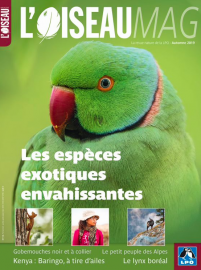 Couverture revue l'OISEAU MAG n°136